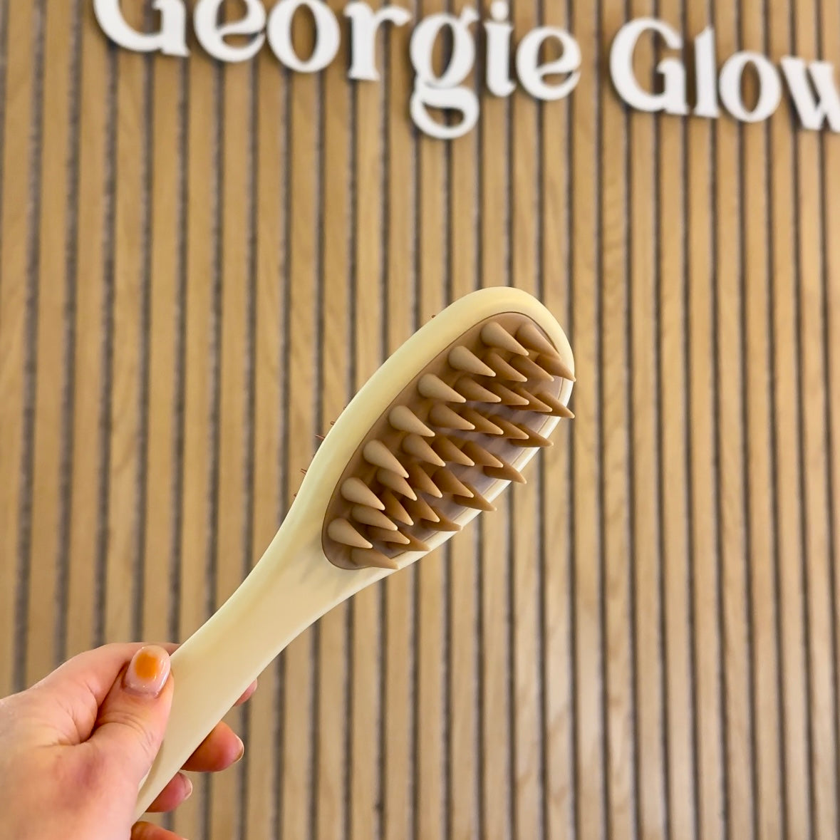 2-in-1 Scalp Massager & Hair Brush